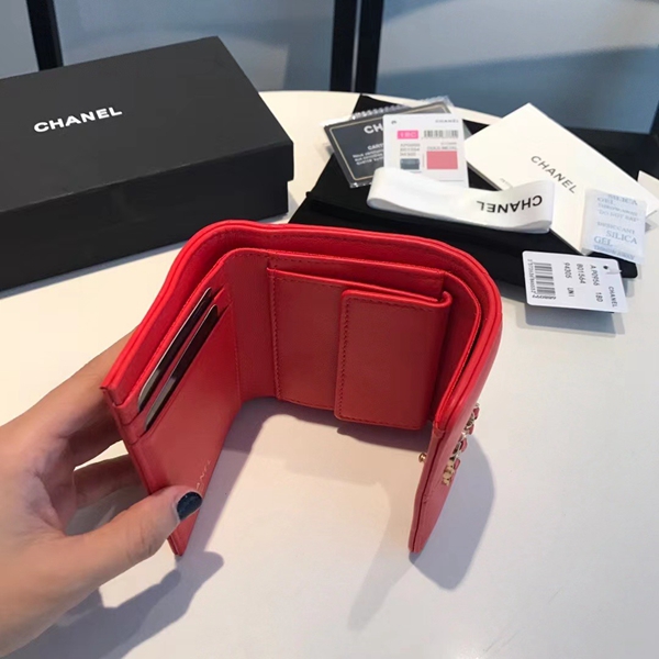 シャネル財布着用イメージ