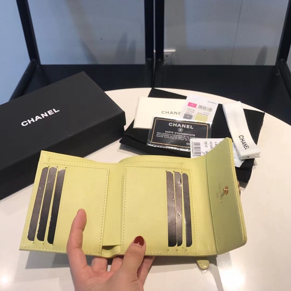 シャネル財布着用イメージ