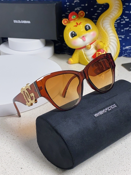 DGサングラス全体デザイン