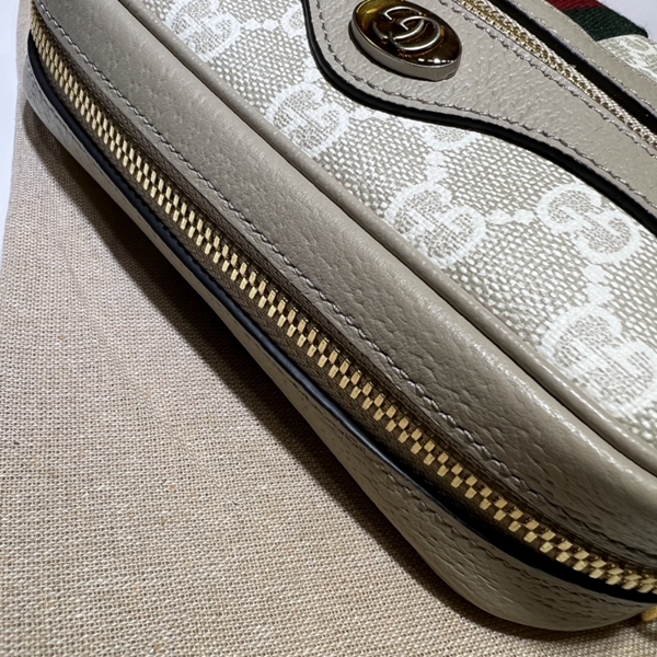 グッチバッグ着用イメージ