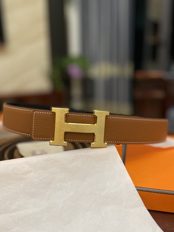 エルメスベルト内部構造