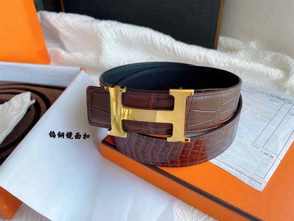 エルメスベルト内部構造