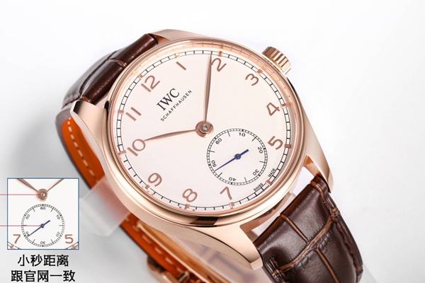 アイ・ダブリュー・シー背面デザイン