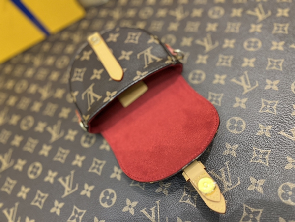 ルイヴィトンバッグ全体デザイン