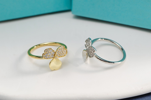 ティファニーアクセサリー背面デザイン